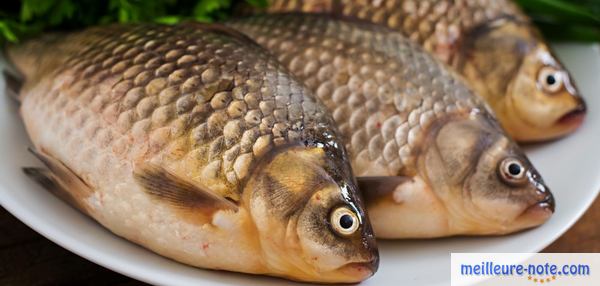 Trois poissons dans une assiette