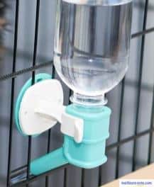un abreuvoir rempli d'eau sur une cage