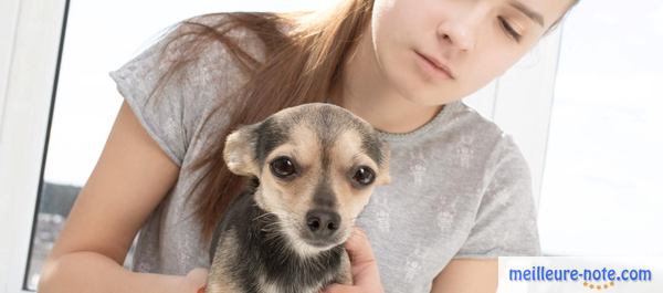 une maitresse examine son chien