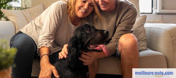deux grands parents caresse leur chien