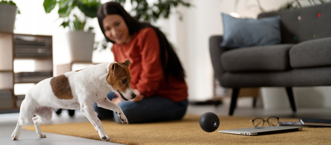 tour pour dressage de chiens