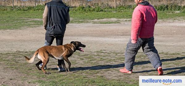 un éducateur canin et un homme avec un chien