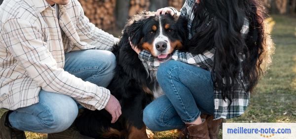 deux propriétaires avec son chien