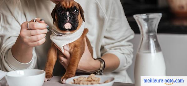 une femme donne de l'eau à son chien