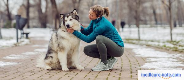 une femme se promène avec son chien