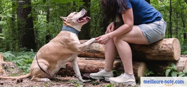 une femme prend la patte de son chien