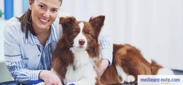 une femme avec un chien chez le vétérinaire