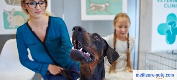 une femme et une petite fille avec leur chien dans une clinique vétérinaire