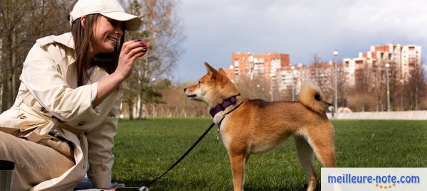 une maitresse joue avec son chien