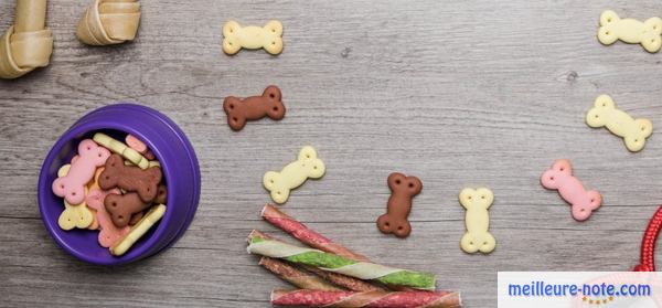des friandises pour chien