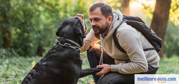 un maitre apprendre un ordre à un chien