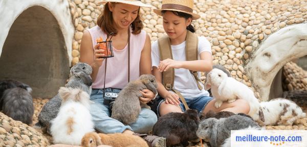 une femme et sa fille avec leurs lapins