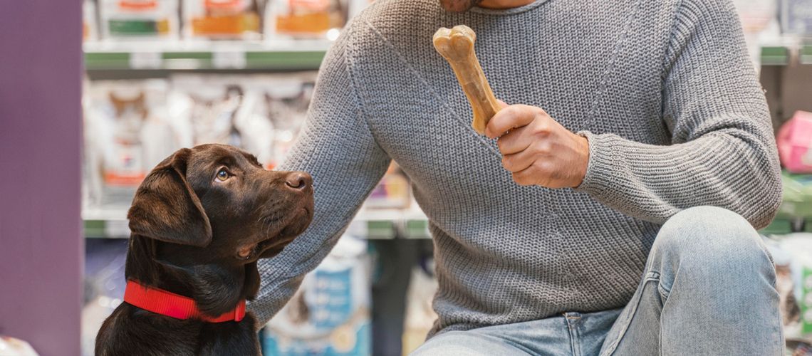 Méthode pour dresser le chien