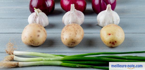 des légumes interdit chez le chien