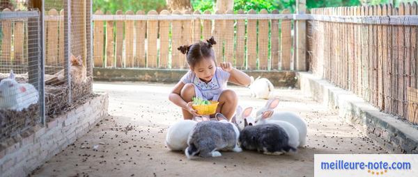 une petite fille avec des lapins
