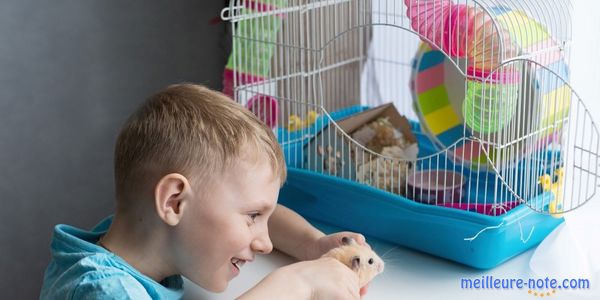Un garçon à côté de la cage du cochon d'Inde