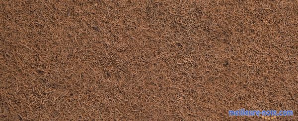 Un beau tapis absorbant marron foncé