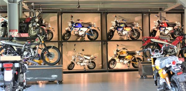 des types de collection moto